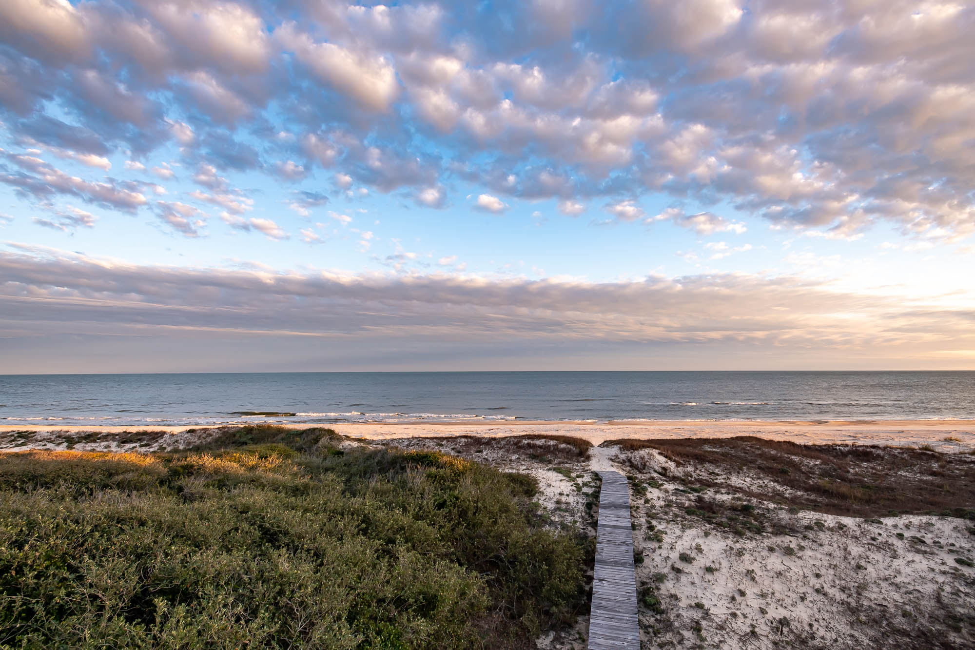 Image for Spring Discounts