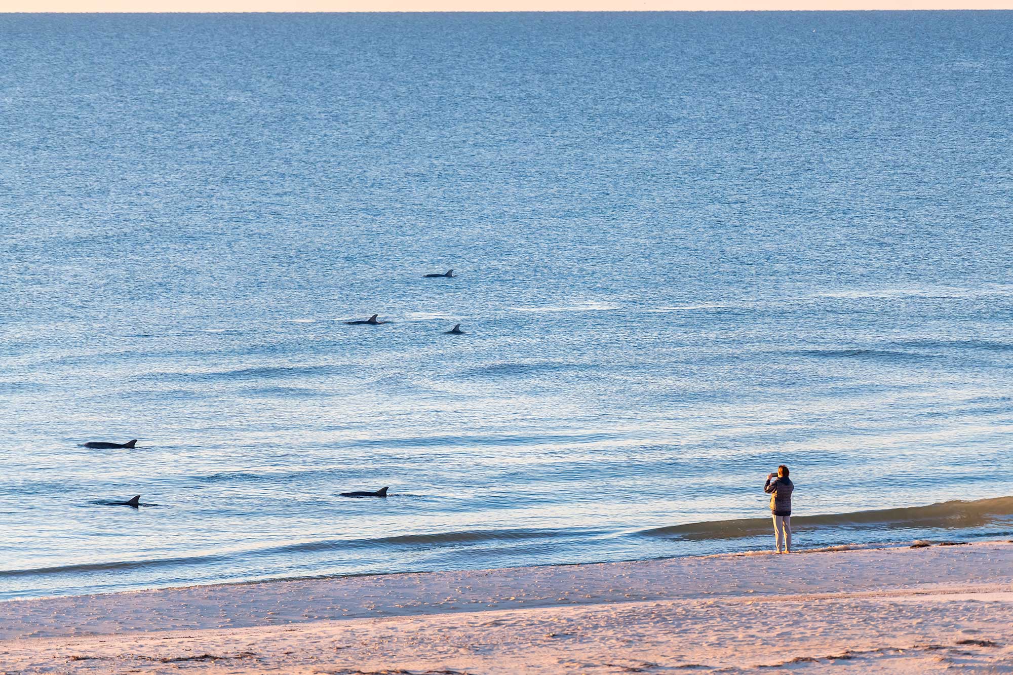 Image for 4th Of July Specials 