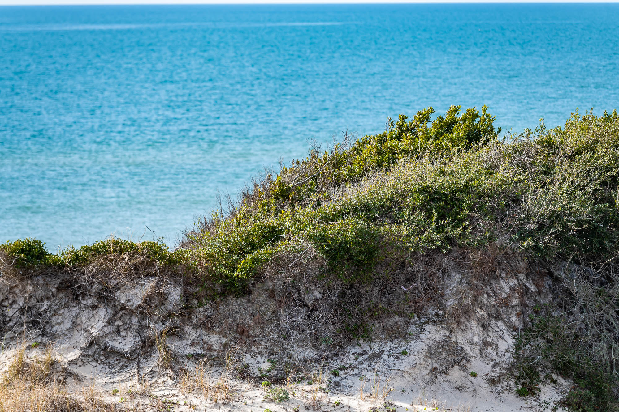 Image for Large Groups